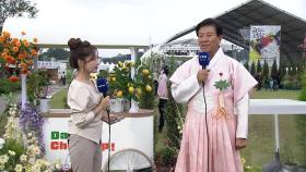 '심 봤다!' 몸도 마음도 건강한 금산 인삼축제