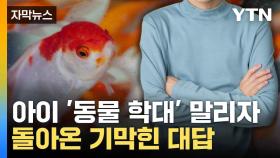 [자막뉴스] 음식점 수조를 주먹으로 쾅... 아이 말리자 돌아온 답변