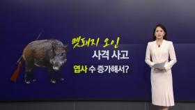 '멧돼지 오인' 사격 사고... 포상금 커지고 엽사 수 증가해서? [앵커리포트]
