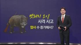 '멧돼지 오인' 사격 사고... 포상금 커지고 엽사 수 증가해서? [앵커리포트]
