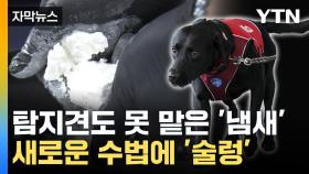 [자막뉴스] 냄새도 숨겼지만...액상 코카인 밀수해 보관한 20대 검거