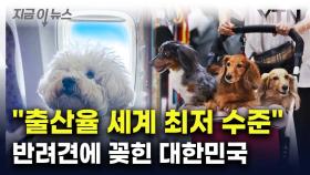 '개모차'부터 장례 서비스까지...반려견에 꽂힌 韓 [지금이뉴스]