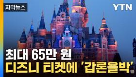 [자막뉴스] 최대 65만 원...디즈니가 출시한 '이 티켓'