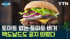 토마토 없는 토마토 버거...맥도날드도 공지 띄웠다 [Y녹취록]