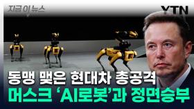 현대차, 도요타와 손 잡았다...'AI 로봇' 테슬라에 도전장 [지금이뉴스]