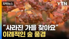 [자막뉴스] '명소'라고 해서 왔더니... 헛걸음에 실망한 관광객들