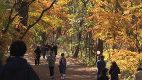 설악산은 끝물·한라산은 지각...단풍 명소 고민