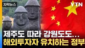 [자막뉴스] 부작용에도 똑같이...제주도 답습하는 정부 대책