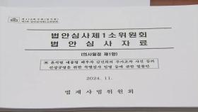 '김 여사 특검법' 법안소위 통과...