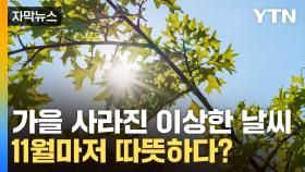 [자막뉴스] 9월 여름, 10월도 여름...11월도 따뜻한 날씨 이어지나?