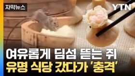 [자막뉴스] 