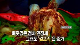 [영상] 배춧값 안정세에도 '김포족'은 증가