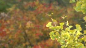 [날씨] 낮 동안 맑고 온화...수도권·충남 점차 초미세먼지↑