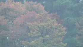 [날씨] 낮 동안 맑고 온화...점차 서쪽 중심 초미세먼지↑