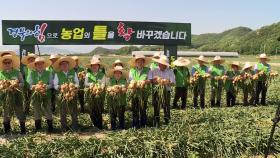 [경북] 영덕도 농업대전환 안착...