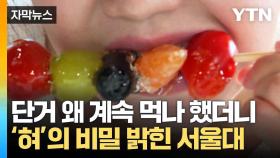 [자막뉴스] 먹다 보면 안 달던데?...서울대가 밝힌 '단 맛'의 비밀