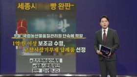 세종시특산품? 알고 보니 '그리스산 복숭아' [앵커리포트]