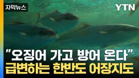 [자막뉴스] 동해 점령한 난류성 어종...뒤바뀐 한반도 어장 지도