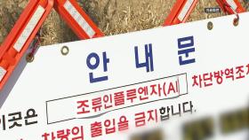 충남 서산 오리농장에서 고병원성 AI 발생