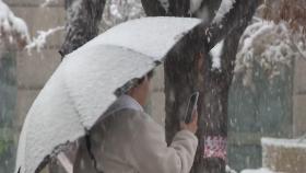 용인 47.5cm '눈 폭탄'...전국 대부분 대설특보 해제