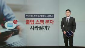 방치하면 이통사까지 과징금...불법 스팸 문자 사라질까? [앵커리포트]