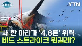 청둥오리와 부딪혀도 '4.8톤' 충격...버드 스트라이크의 위험성 [Y녹취록]