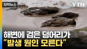 [자막뉴스] 8개 해변에서 나타난 기현상... 호주에 무슨 일이