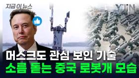 속도에 맷집까지 갖춘 '비밀병기'...中 로봇개, 머스크도 관심 [지금이뉴스]