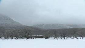 한라산 폭설...입산 금지·산간 도로 통제