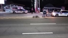 경기 고양에서 멧돼지·승용차 충돌...인명 피해 없어