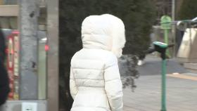 [날씨] '입춘 한파' 내일 절정, 서울 -13℃ 최저...서해안은 대설