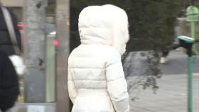 [날씨] '입춘 한파' 내일∼모레 절정...서해안 모레까지 대설