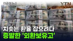 [굿모닝경제] 환율 방어에 외환보유고 '경고등'...한달 사이 46억달러 증발