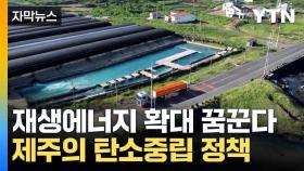 [자막뉴스] 달걀 이어 감귤까지...탄소중립 실천하는 제주