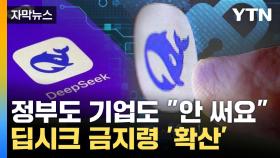 [자막뉴스] 정부, 딥시크 접속 차단...기업도 속속 '금지령'