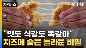 [자막뉴스] 분명 치즈인데 놀라운 반전이...'온난화' 막을 신기술