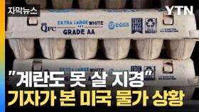 [자막뉴스] 계란도 못사는 미국 물가에...파월 조이는 트럼프