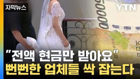 [자막뉴스] 