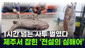 참돔 잡으려다 '전설의 심해어' 낚았다...제주서 잡힌 초대형 돗돔 '깜짝' [지금이뉴스]