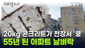 55년 된 서울 아파트, 천장 무너졌다...집으로 쏟아진 콘크리트 '날벼락' [지금이뉴스]