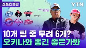 열 개 구단 중 과반…구단 스프링캠프가 오키나와로 몰리는 이유 [스포츠텔링]