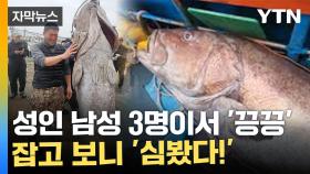 [자막뉴스] 1시간 넘게 사투...제주서 발견된 '전설의 심해어'