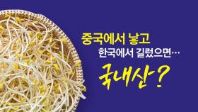 중국서 낳고 한국서 기른 콩나물... 국내산? 중국산? [앵커리포트]