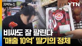 [자막뉴스] 