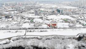 40cm 눈 내린 강원도 또 폭설...산불 걱정 '뚝'