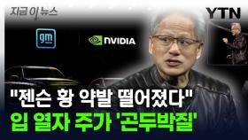 젠슨 황 발언에 주가 '곤두박질'...