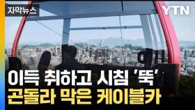[자막뉴스] 