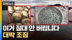 [자막뉴스] 굴·전복·꼬막·바지락...보물이 된 껍데기