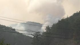 울산 울주 산불...바람 불면서 피해 면적 늘어
