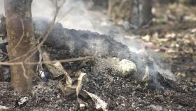 산청 산불 사흘째 확산...안개로 헬기 투입 차질